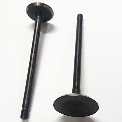 Motorcycle Valves